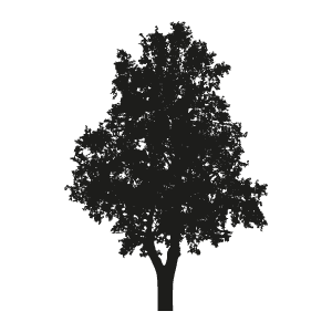 Tree icon representing deforestation