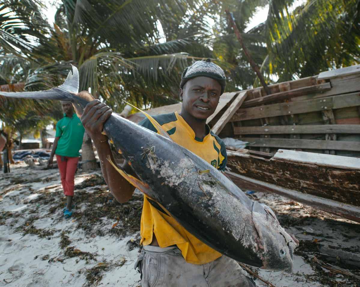 fisherman and yellowfish tuna