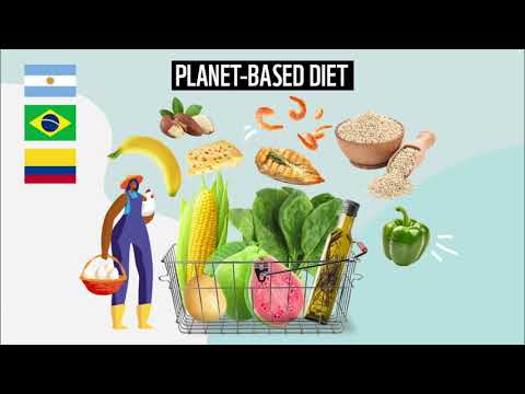 What a Planet-Based Diet looks like.